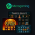 Microgaming Logo - LaraBet Casino Games Provider